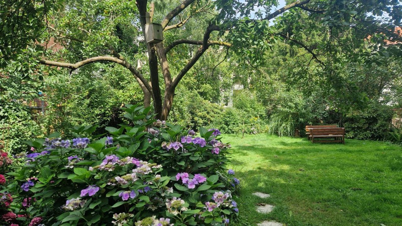Pension Siewert Dessau-Rosslau Exteriér fotografie